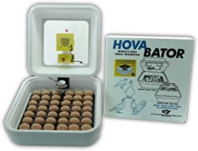 Hova Bator-Advanced-Incubator-Combo-Kit