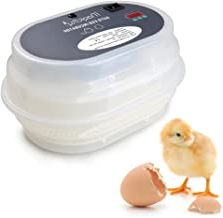 Magicfly-Digital-Automatic-Incubator-Chickens